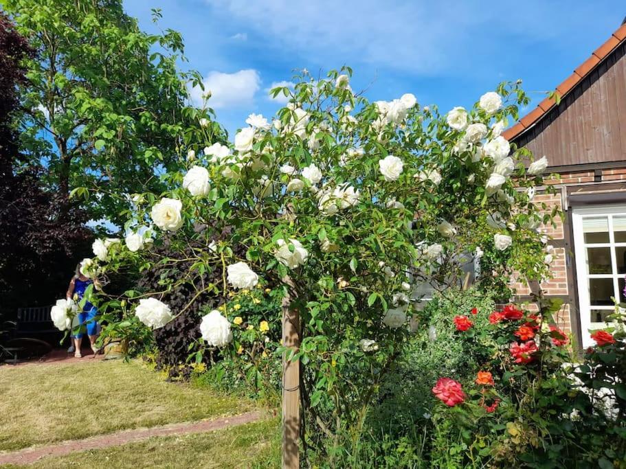 Ferienhaus Gartower See Εξωτερικό φωτογραφία